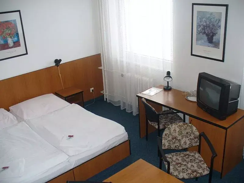 Photo 4 of HOTEL MORAVA